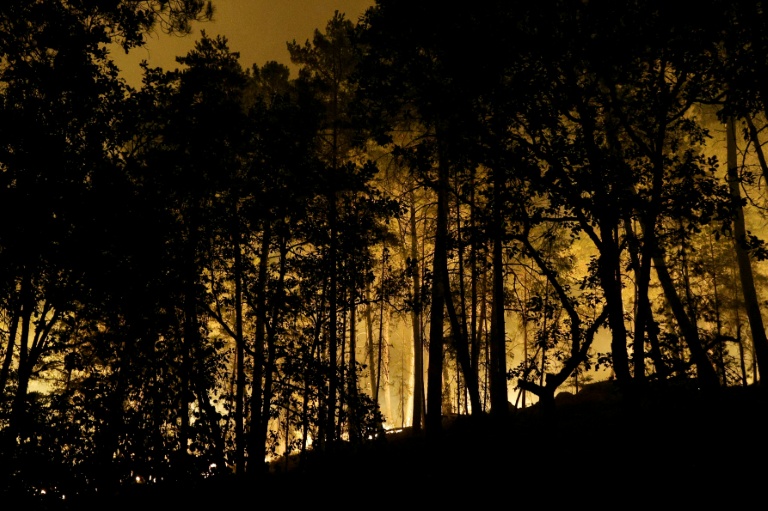 Des flammes dans la forêt de Fontainebleau après le déclenchement d'un incendie de forêt en fin d'après-midi, le 12 juillet 2026 en Seine-et-Marne