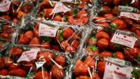 Des fraises dans un supermarché Grand Frais à Salaise-sur-Sanne, en Isère, le 21 mai 2026