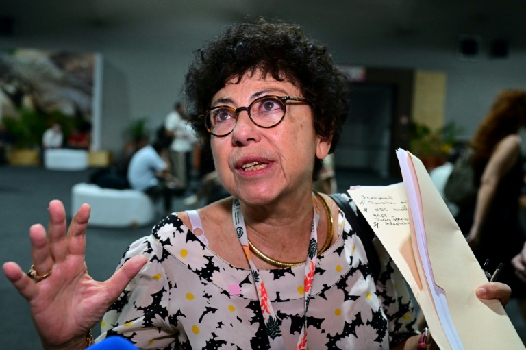 La ministre française de la Transition éconlogique, Monique Barbut, lors de la COP30 à Belem, le 10 novembre 2025 au Brésil