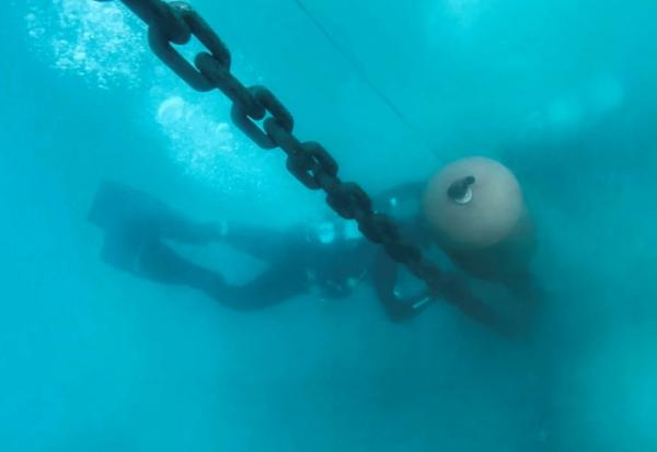Des plongeurs professionnels installent un système d'amarrage écologique dans la baie de Porto Rafti, près d'Athènes, afin de protéger les herbiers de posidonie sensibles des fonds marins, le 11 février 2026 en Grèce