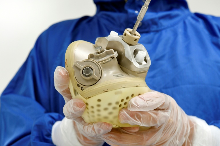 Un employé de CARMAT présente un cœur artificiel bioprothétiqueau siège de l'entreprise à Bois-d'Arcy, le 29 août 2018 dans les Yvelines