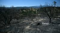Une zone brûlée près de la commune d'Ille-sur-Têt et de Perpignan, alors qu'un incendie fait rage dans le département des Pyrénées-Orientales, le 7 juillet 2026