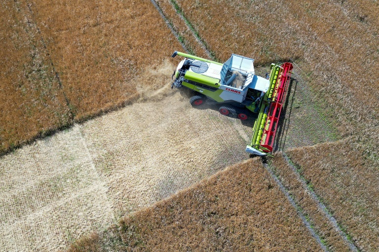 Vue aérienne d'une moissonneuse-batteuse dans un champ à Gross Machnow, dans l'est de l'Allemagne, le 2 juillet 2026