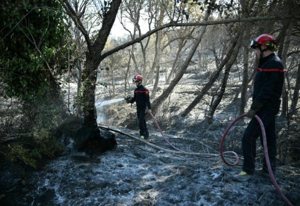 Des pompiers arrosent les arbres et la terre pour empêcher le feu de reprendre alors qu'un incendie fait rage près de la commune de Tarerach, à l'ouest de Perpignan, le 7 juillet 2026 dans les Pyrénées-Orientales