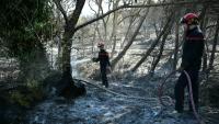 Des pompiers arrosent les arbres et la terre pour empêcher le feu de reprendre alors qu'un incendie fait rage près de la commune de Tarerach, à l'ouest de Perpignan, le 7 juillet 2026 dans les Pyrénées-Orientales