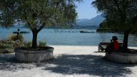 Une femme s'abrite du soleil à l'ombre d'un arbre sur une rive du lac du Bourget, au Bourget-du-Lac, en Savoie le 8 août 2025