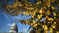 Le Capitole de Washington, siège du Congrès américain, le 5 novembre 2025