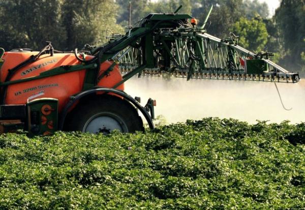 La quasi-totalité de la loi d'urgence agricole a été validée vendredi par le Conseil constitutionnel, y compris les volets controversés sur la réintroduction dérogatoire de pesticides interdits, jugée suffisamment encadrée par les Sages, et sur la gestion de l'eau