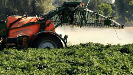 La quasi-totalité de la loi d'urgence agricole a été validée vendredi par le Conseil constitutionnel, y compris les volets controversés sur la réintroduction dérogatoire de pesticides interdits, jugée suffisamment encadrée par les Sages, et sur la gestion de l'eau
