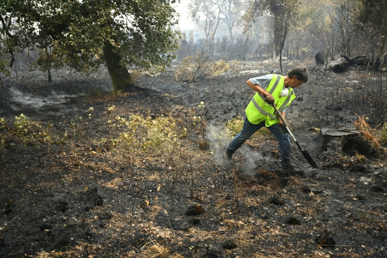 Un membre de la Défense des Forêts Contre les Incendies (DFCI) éteint les débris d'un incendie, le 16 août 2026 à Luglon, dans les Landes   