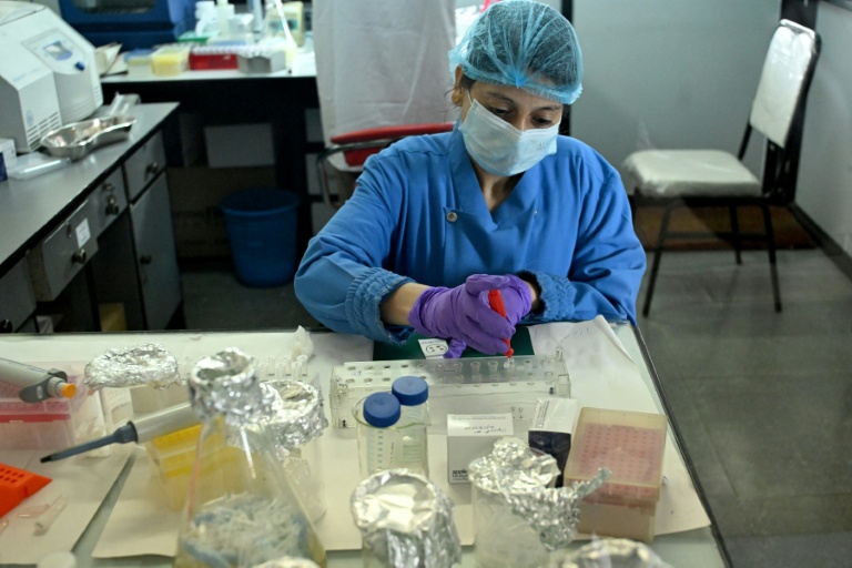 Un scientifique réalise un test ADN au Laboratoire national de médecine légale à Lalitpur, près de Katmandou, au Népal, le 19 septembre 2026
