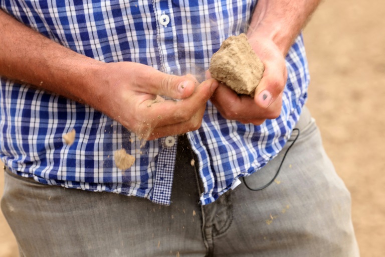 Un maraîcher émiette un morceau de terre desséchée dans un champ qu'il devra irriguer pour cultiver des légumes, à Carnin, le 20 mai 2025 dans le Nord de la France