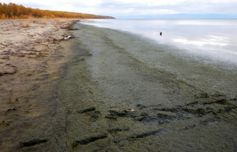 Une photo de presse prise le 23 septembre 2017 et fournie par Oleg Timoshkin, biologiste à l'Institut de limnologie de l'Académie russe des sciences à Irkoutsk, montre les rives du lac Baïkal, dans le sud de la Sibérie orientale, en Russie