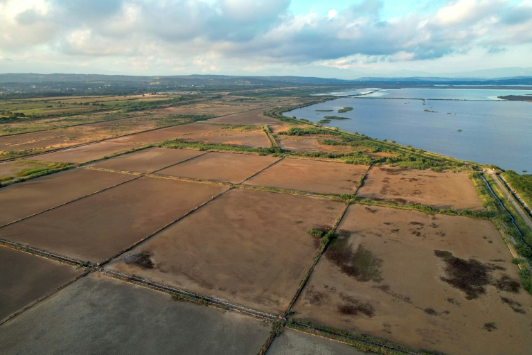 Vue aérienne de bassins de récolte de sel marin dans les marais salants abandonnés d'Ulcinj, le 2 juin 2026 au Monténégro
