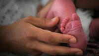 Face aux difficultés rencontrées par les familles monoparentales, qui sont près de 2,4 millions en France, les assureurs cherchent à séduire cette nouvelle clientèle en développant des offres adaptées à leurs besoins