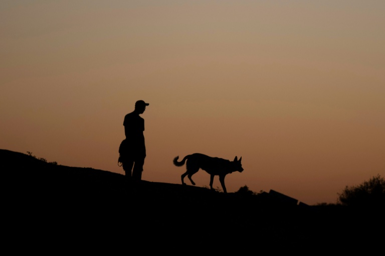 D'où viennent les chiens et depuis quand accompagnent-ils l'être humain ? De nouvelles études établissent leur présence en Europe il y a près de 16.000 ans, soit 5.000 ans plus tôt que ce que les précédentes recherches évaluaient