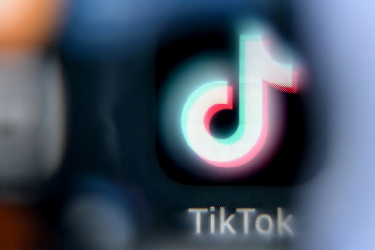 Sur TikTok, des vidéos générées par l'intelligence artificielle engrangent des millions de vues en mettant en scène la détresse de victimes de conflits, à des fins lucratives