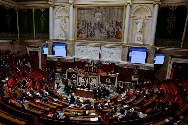 L'Assemblée nationale confirmera-t-elle son vote ? Les députés ont achevé samedi dans les temps impartis l'examen de deux propositions de loi, l'une sur les soins palliatifs et l'autre relative au