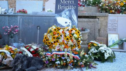 Un chien couché à côté des fleurs déposées autour de la tombe de l'actrice Brigitte Bardot, au cimetière maritime de Saint-Tropez, le 7 janvier 2026 après ses funérailles dans le Var