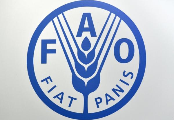 Logo de l'Organisation des Nations unies pour l'alimentation et l'agriculture, connue sous le nom de FAO (Food and Agriculture Organization of the United Nations) 
