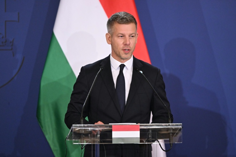 Le Premier ministre hongrois Peter Magyar, le 23 juin 2026 à Gödöllo, en Hongrie