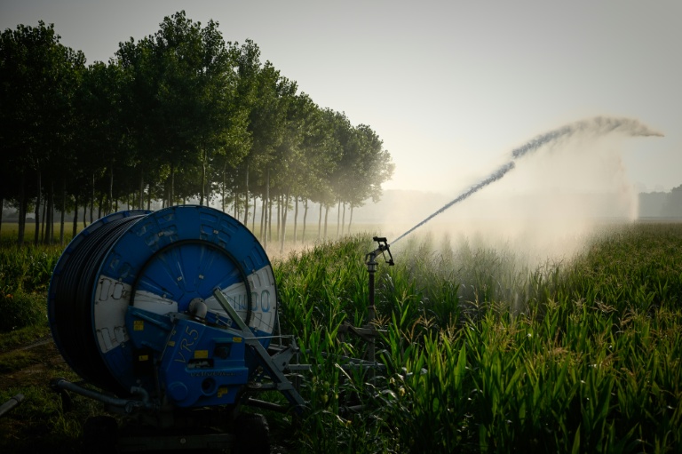 Un enrouleur d'irrigation arrose un champ de maïs à La Réole, en Gironde, lors d'une vague de chaleur en France, le 8 juillet 2026