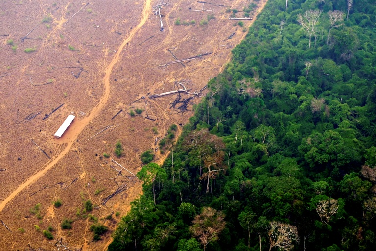 Lula a également fortement réduit la déforestation en Amazonie, même si l'environnement a brillé par son absence dans la campagne