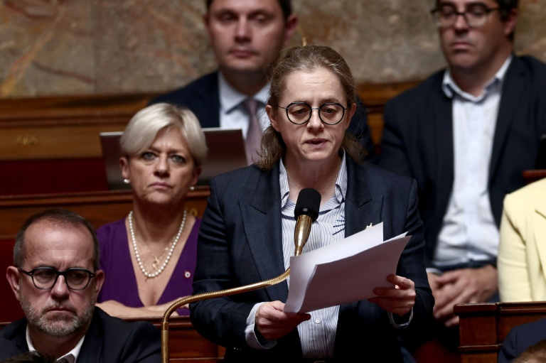 La députée socialiste Céline Thiébault-Martinez à l'Assemblée nationale le 28 mai 2025