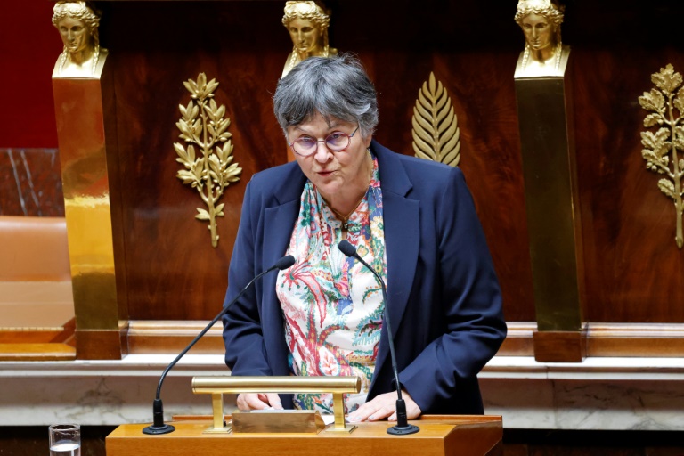 La députée écologiste Dominique Voynet à l'Assemblée Nationale Paris le 28 avril 2025