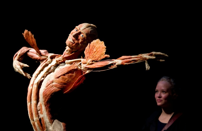 Une jeune femme se tient derrière un corps conservé par le plastinateur allemand Gunther von Hagens lors de l’exposition 