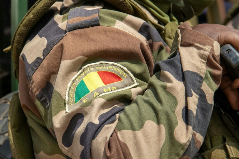 Photo montrant le logo des Forces armées maliennes (FAMA) lors d'une rencontre entre des membres de l'association Tamouzok (