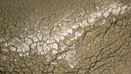 Le fond du lac des Brenets, frontière naturelle entre la France et la Suisse, le 11 août 2026