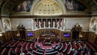 Le Parlement français s'apprête à adopter définitivement au Sénat une loi facilitant les restitutions d'œuvres pillées durant la colonisation, réclamées depuis des années en Afrique