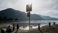 Des promeneurs avec leurs chiens sur les rives du lac d'Annecy, le 24 septembre 2026