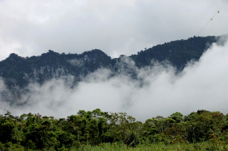 Des forêts en Papouasie-Nouvelle-Guinée, le 16 novembre 2021
