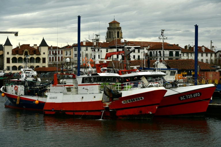 Des bateaux de pêche à Saint-Jean-de-Luz (Pyrénées-Atlantiques), le 22 janvier 2024