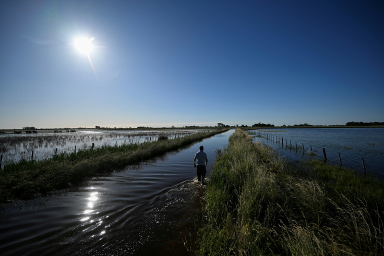 Une route inondée en raison de fortes pluies à 9 de Julio, dans la province de Buenos Aires, en Argentine, le 5 novembre 2025