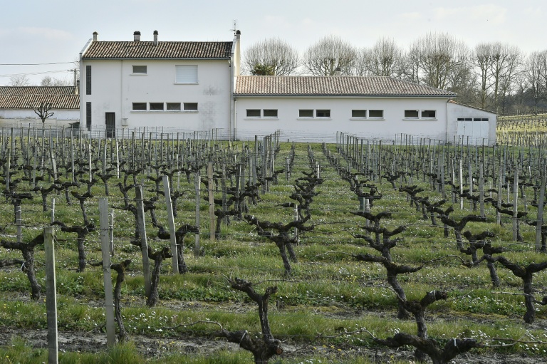 Une école élémentaire bâtie en bordure d'un vignoble, à Villeneuve (Gironde), le 23 mars 2016