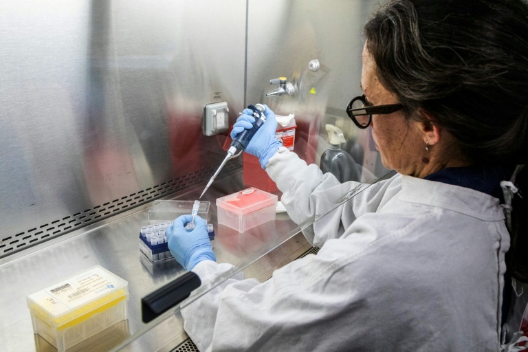 Photo diffusée par le ministère argentin de la Santé montrant une scientifique de l'Institut Malbran manipulant des tubes utilisés pour diagnostiquer l'hantavirus andin, le 6 mai 2026 à Buenos Aires