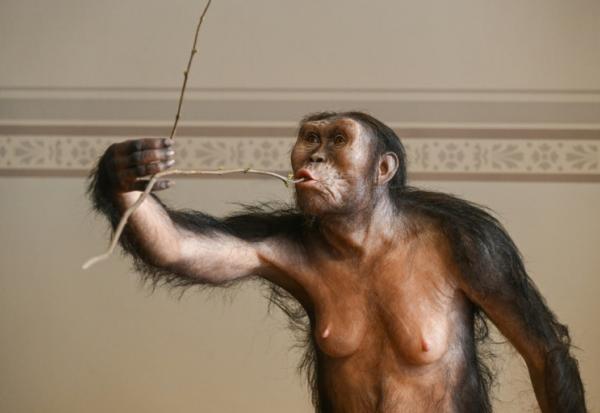 Reconstitution artistique de l'australopithèque Lucy, exposée au musée national de Prague, le 4 février 2025 en République tchèque