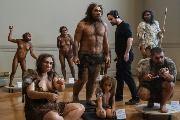 Reconstitution artistique des ancêtres humains exposée au musée national de Prague, le 4 février 2025 en République tchèque