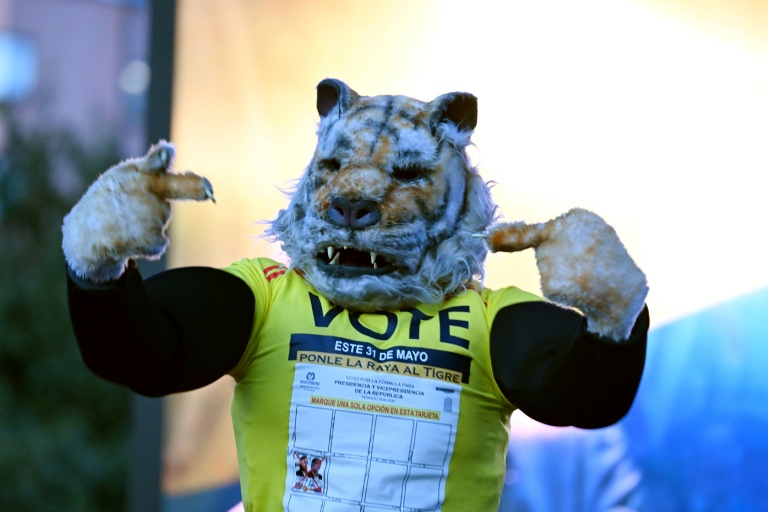 Un supporter d'Abelardo de la Espriella, candidat à la présidentielle en Colombie, déguisé en tigre lors d'un meeting à Bogota, le 20 mai 2026