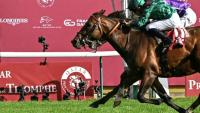 Le cheval pur-sang français Daryz, monté par Mickaël Barzalona a remporté le Prix de l'Arc de Triomphe 2025, défendant les couleurs de l'Aga Khan, à Paris le 5 octobre 2025.