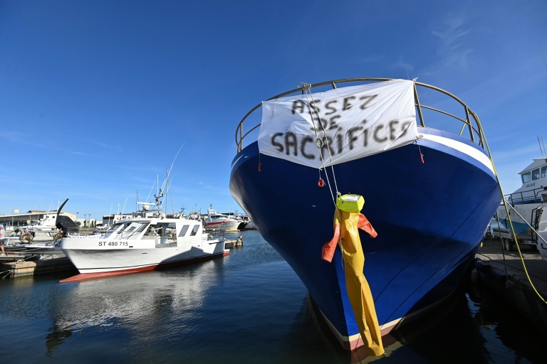 Les dispositifs mis en place pour les pêcheurs, les agriculteurs et le secteur du BTP ont tous été prolongés jusqu'au 31 décembre