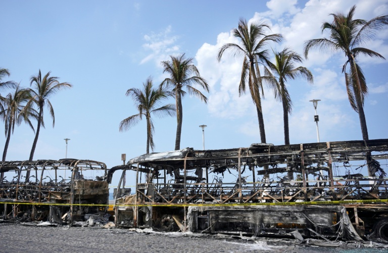 Des bus incendiés à Puerto Vallarta, dans l'Etat de Jalisco, au Mexique, le 23 février 2026