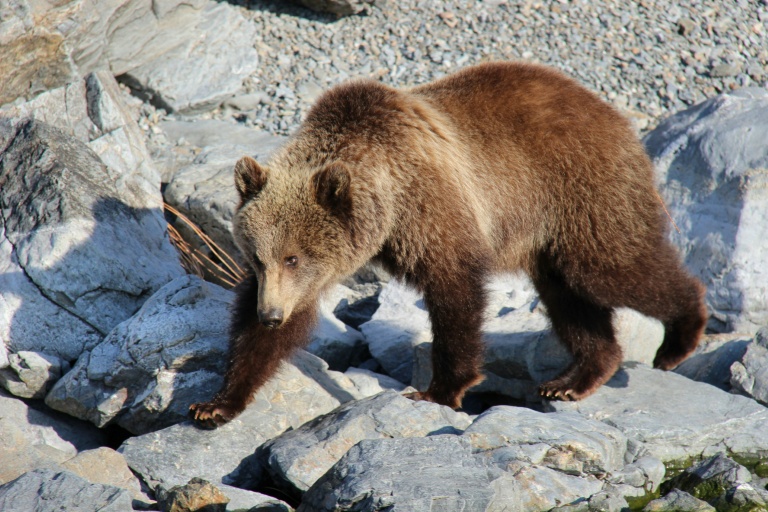 Photo prise fin mai 2026 et diffusée par le parc national 