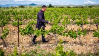 Gilles Foxonet, vigneron et maire RN de Baixas, dans son vignoble à Baixas, le 7 mai 2025 dans les Pyrénées-Orientales