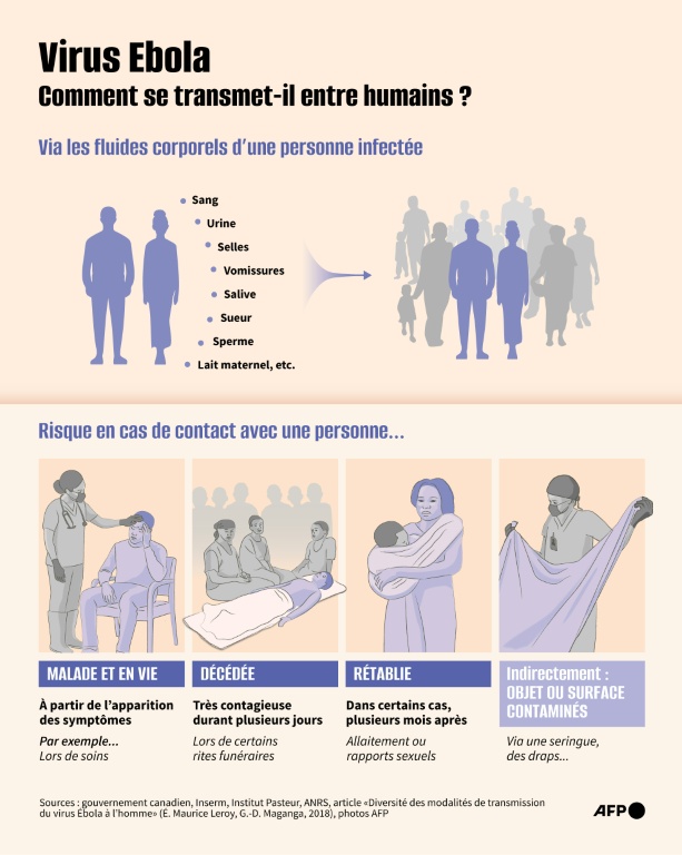 Virus Ebola : comment se transmet-il entre humains ?