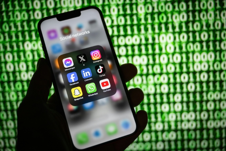 La mesure envisageant d'interdire les réseaux sociaux aux enfants et aux adolescents fait débat chez les chercheurs
