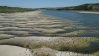 Photo des rives asséchées du Danube à Rasova en Roumanie, le 13 août 2026